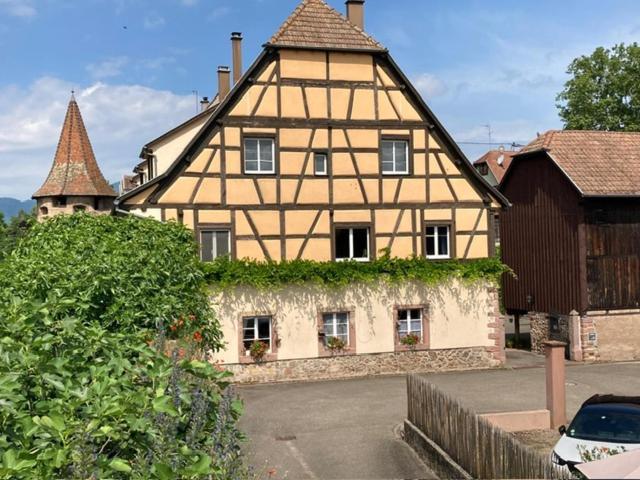 Joli Gite 2 Personnes En Alsace Guémar Kültér fotó