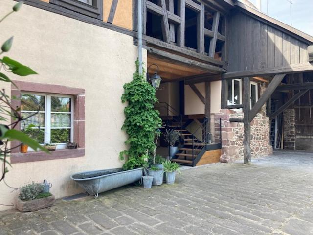 Joli Gite 2 Personnes En Alsace Guémar Kültér fotó